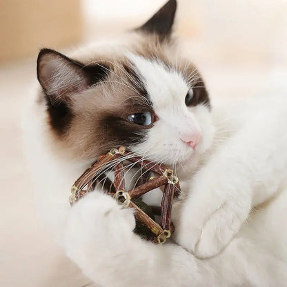 Jouet de bâtonnets en bois avec boule de cataire pour chat