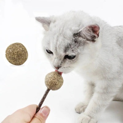 Jouet en herbe à chat en forme de sucette pour chat