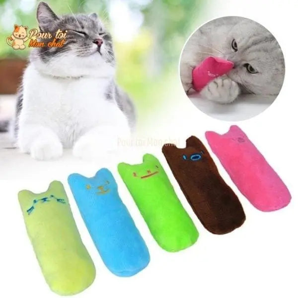 Jouet en peluche pouvant être garni d’herbe à chat - MonDoudouChat™