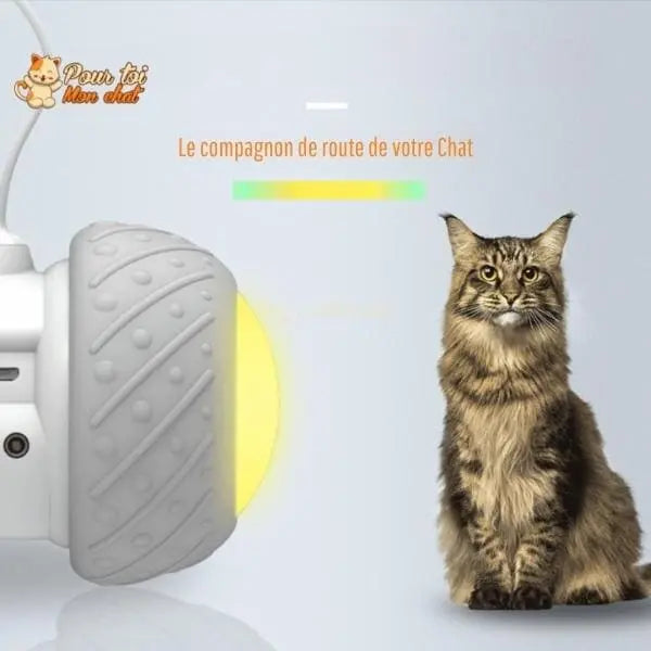 Jouet intelligent interactif pour chat - ROUESàPLUMES™