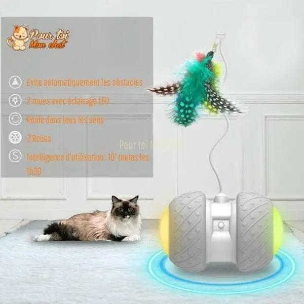 Jouet intelligent interactif pour chat - ROUESàPLUMES™