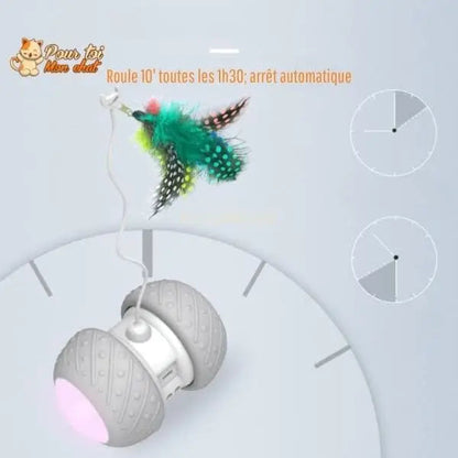 Jouet intelligent interactif pour chat - ROUESàPLUMES™