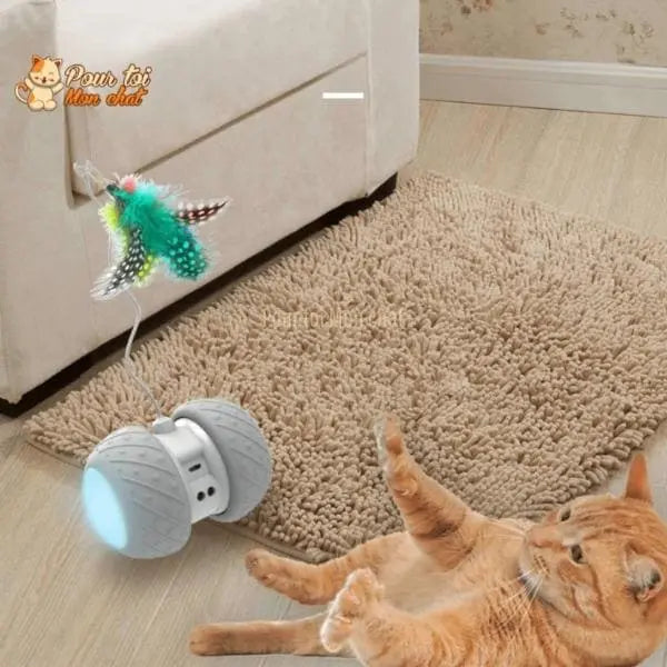 Jouet intelligent interactif pour chat - ROUESàPLUMES™