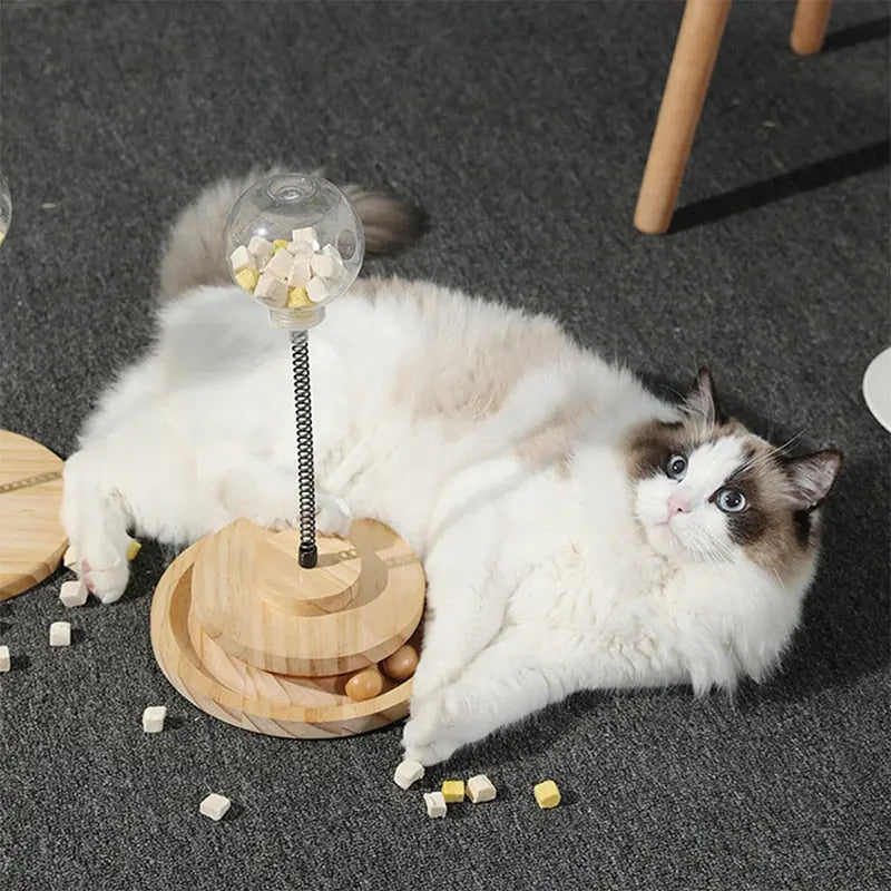 Jouet interactif pour l'alimentation pour chat avec socle en bois