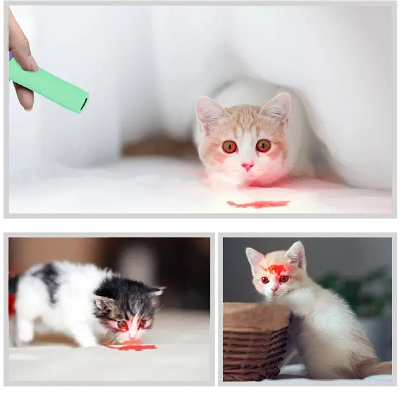 Jouet laser interactif LED à trois styles pour chat