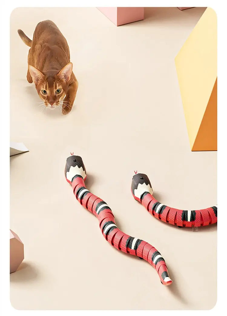 Jouet serpent interactif et intelligent pour chats