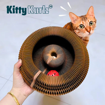 Le Griffoir Magique Kitty Kurlz