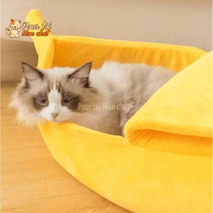 LIT BANANE POUR CHAT – Banana’Chat™