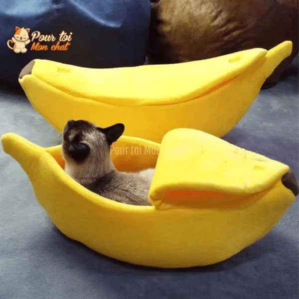 LIT BANANE POUR CHAT – Banana’Chat™