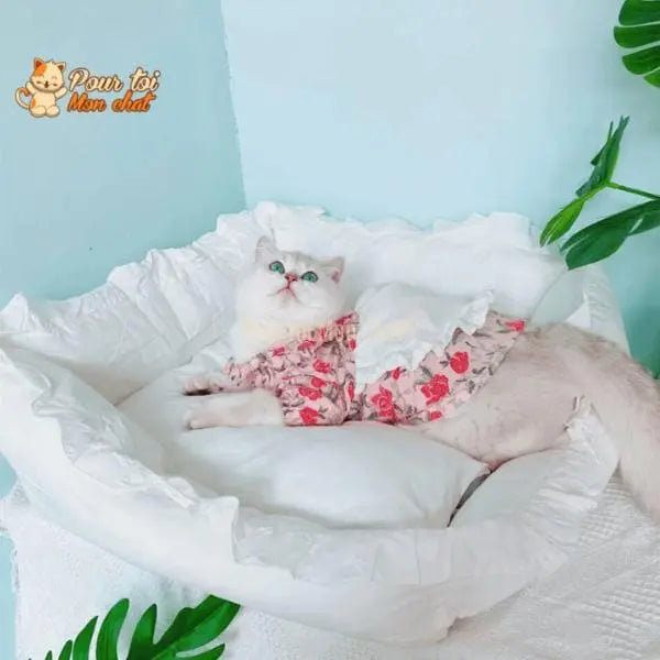 LIT COUSSIN DE PRINCESSE MIGNON EN DENTELLES POUR CHAT – Chat’dentelles™