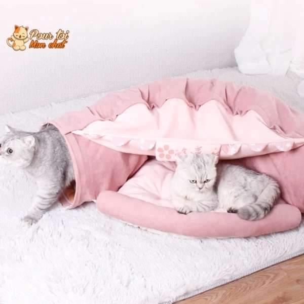 Tunnel de Jeu avec Coussin pour Chat - CoussiCat™