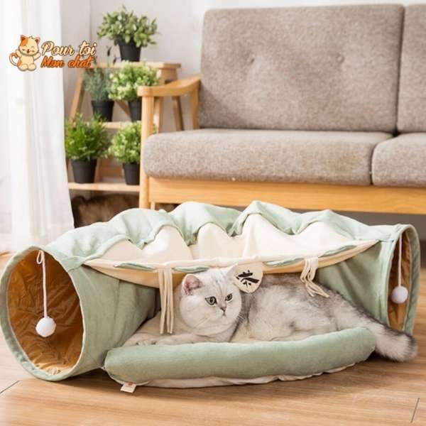 Tunnel de Jeu avec Coussin pour Chat - CoussiCat™