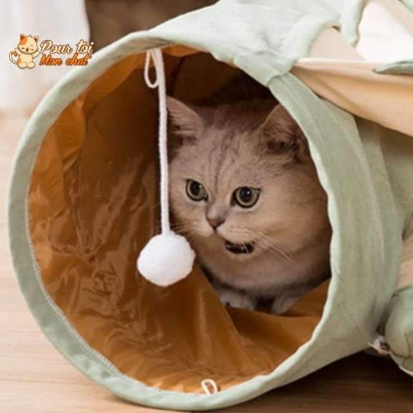 Tunnel de Jeu avec Coussin pour Chat - CoussiCat™