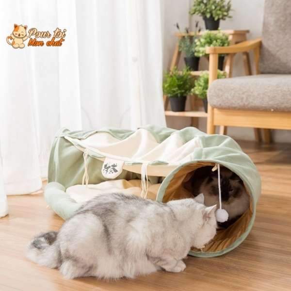 Tunnel de Jeu avec Coussin pour Chat - CoussiCat™