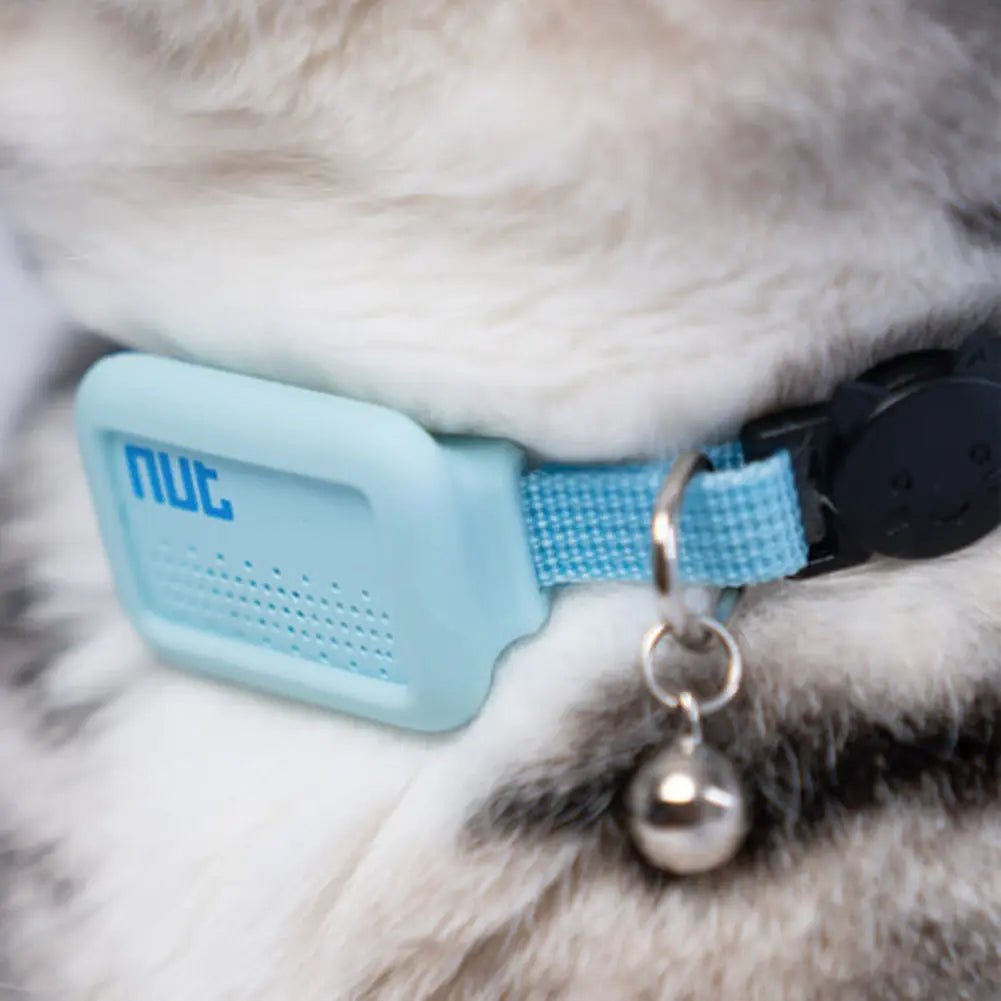 Mini traceur GPS avec collier pour chat