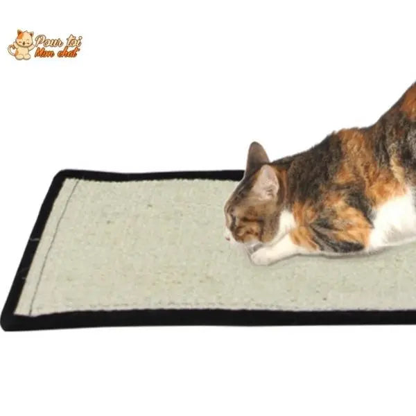 Tapis griffoir pour chat protecteur de meubles – Protec’Chat™