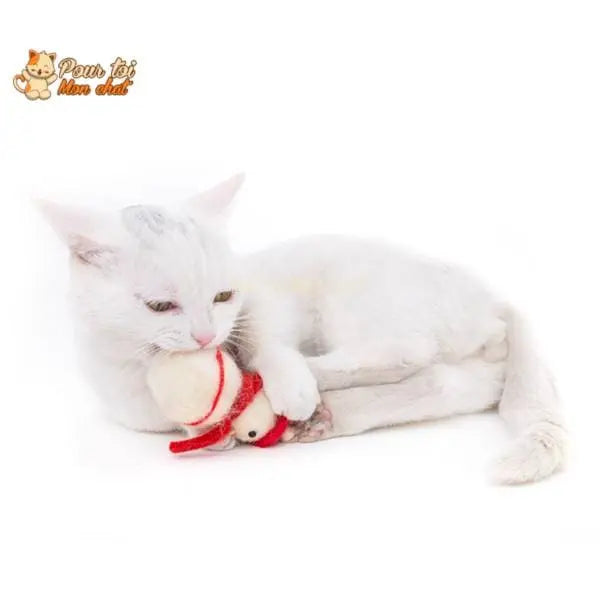 Noël Jouets, boule culbuto en feutre de laine, décors de Noël, Bonhomme de neige - Pour Chat - CulbutoNeigeChat™