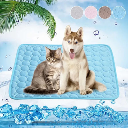 AnimalFreeze | Tapis rafraîchissant pour chien et chat – En promo ! 🔥