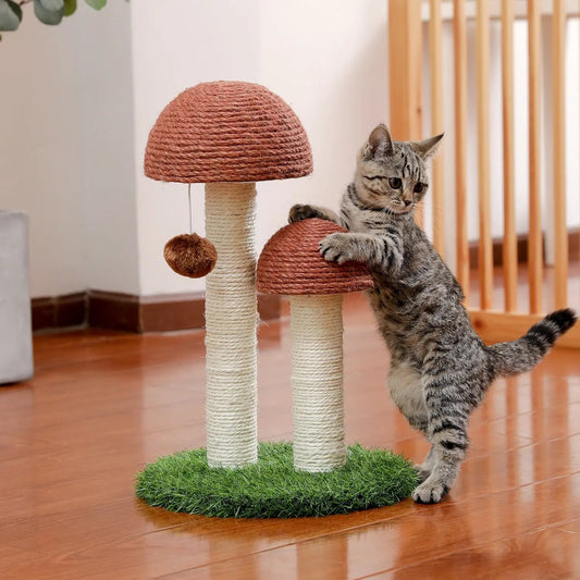 Petit arbre à chat en forme de champignon