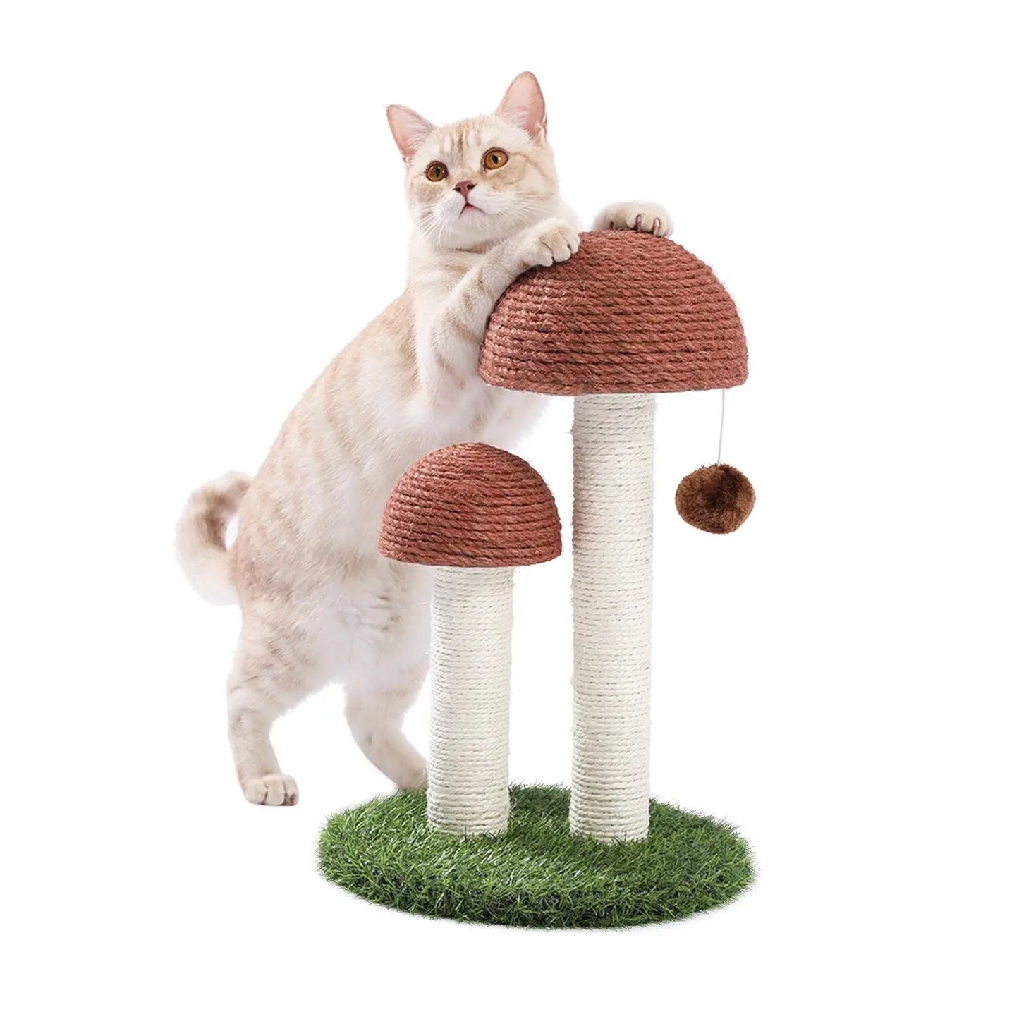 Petit arbre à chat en forme de champignon