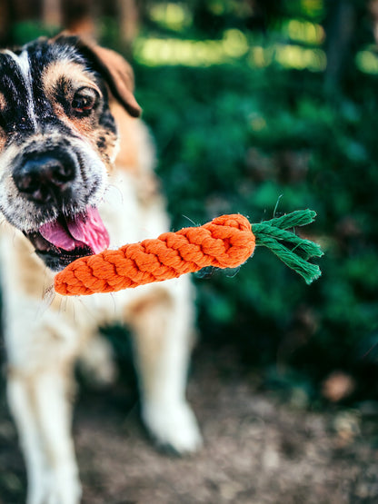 Carotte en Cordes pour Chien et Chat