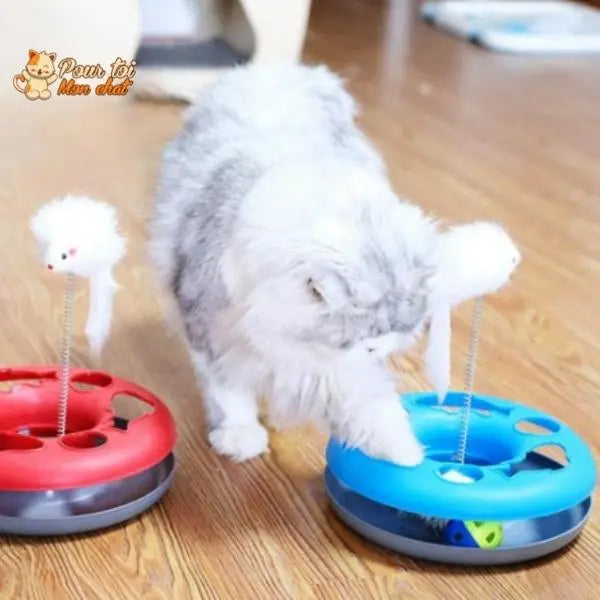 Jouet à balles et plumes : 2 jouets en 1 interactifs pour chat - Pilou-Pilou™