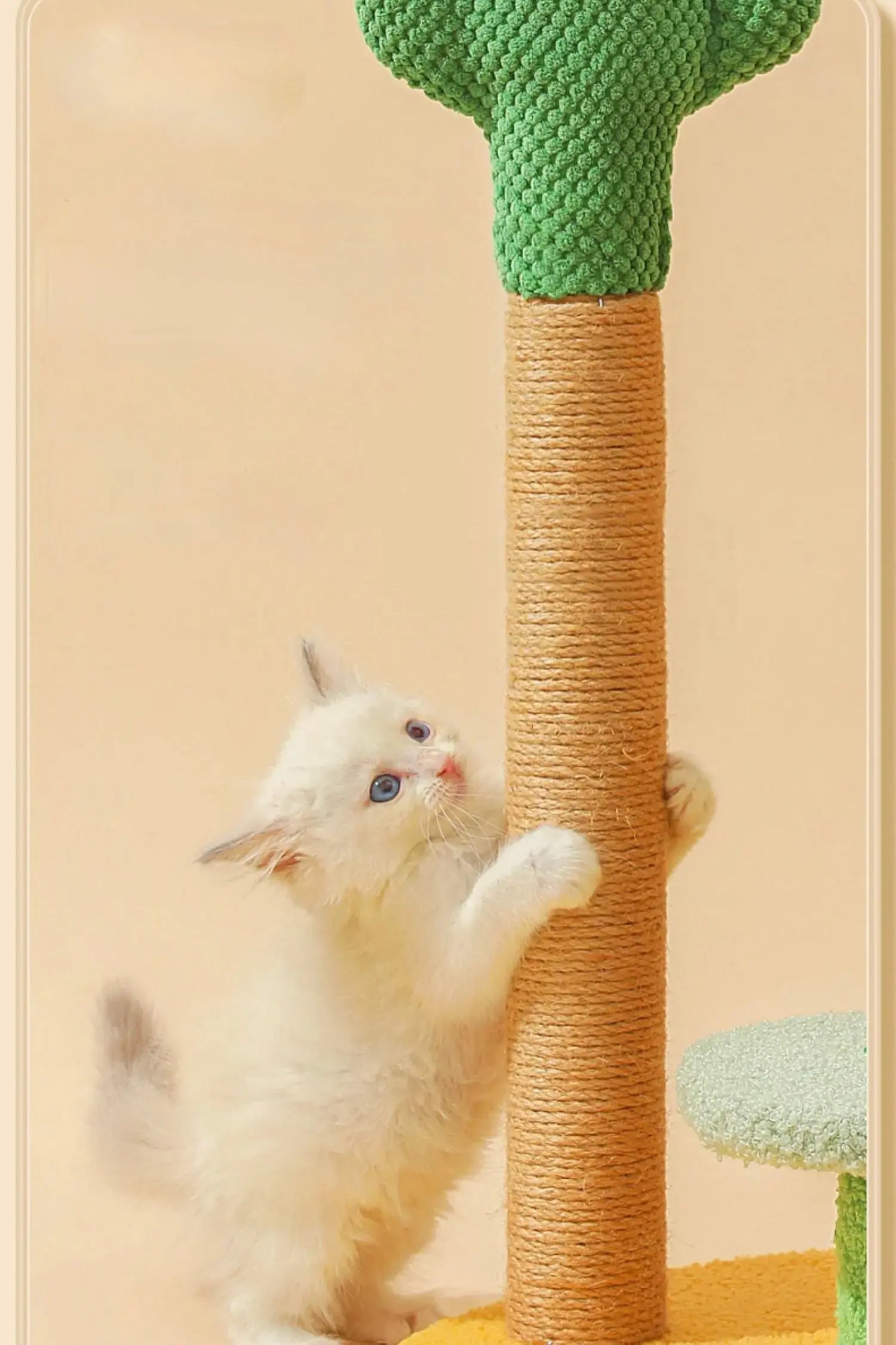 Planche à gratter à cactus pour chat