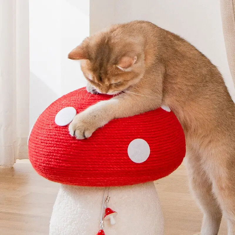 Planche à gratter en sisal en forme de champignon pour chat