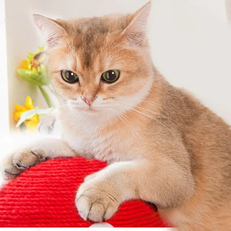 Planche à gratter en sisal en forme de champignon pour chat