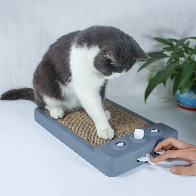 Planche à gratter en carton ondulé avec jeu à taupes pour chat