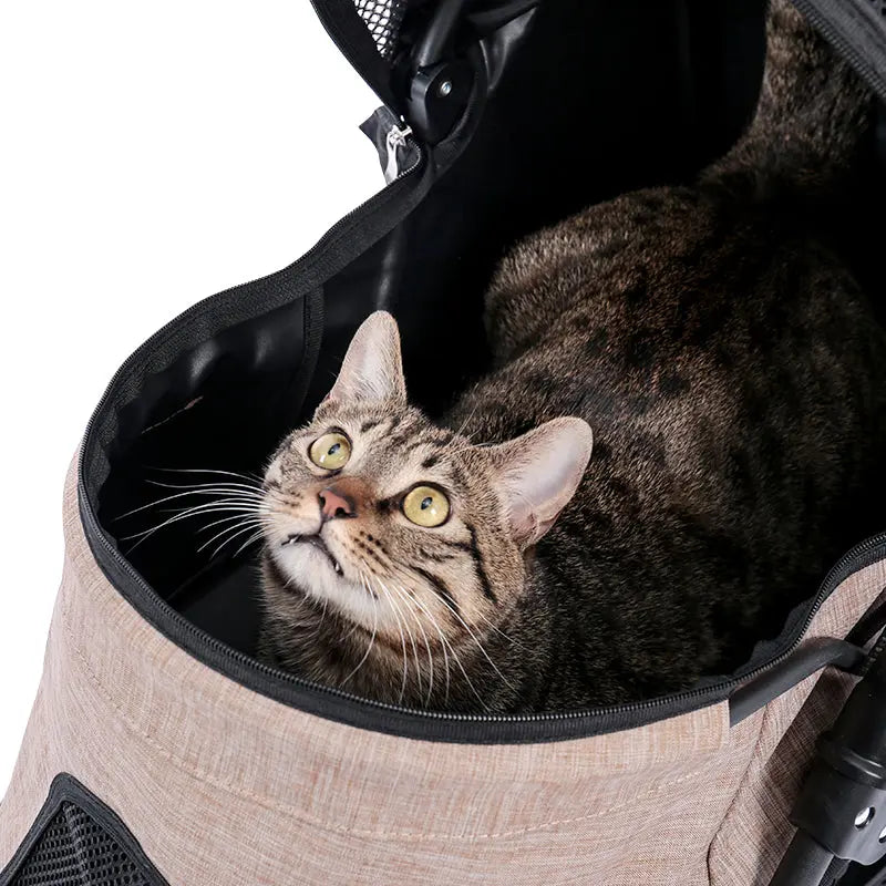 Poussette pliable avec panier de rangement pour chat