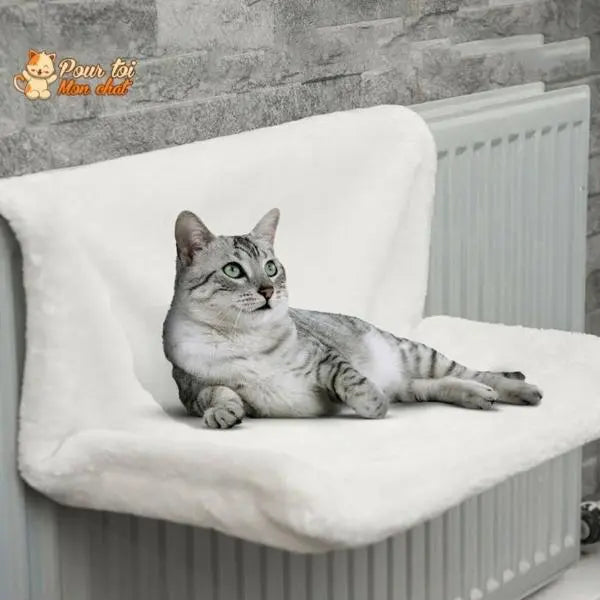 Lit doux fenêtre, lit, radiateur - Pour chat - Poz’Hamac™