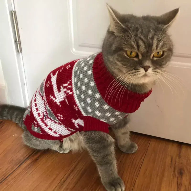 Pull pour Chat Chaud Style Noël avec des Cerfs