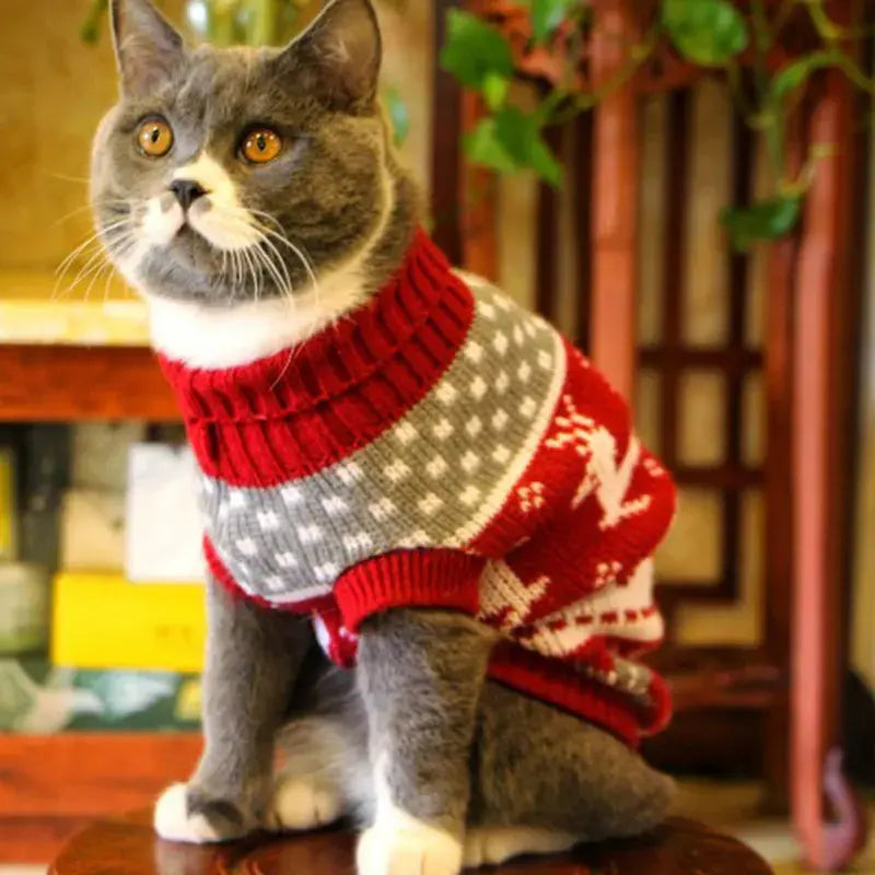 Pull pour Chat Chaud Style Noël avec des Cerfs