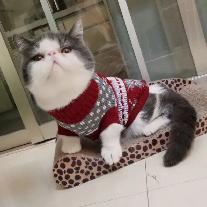 Pull pour Chat Chaud Style Noël avec des Cerfs