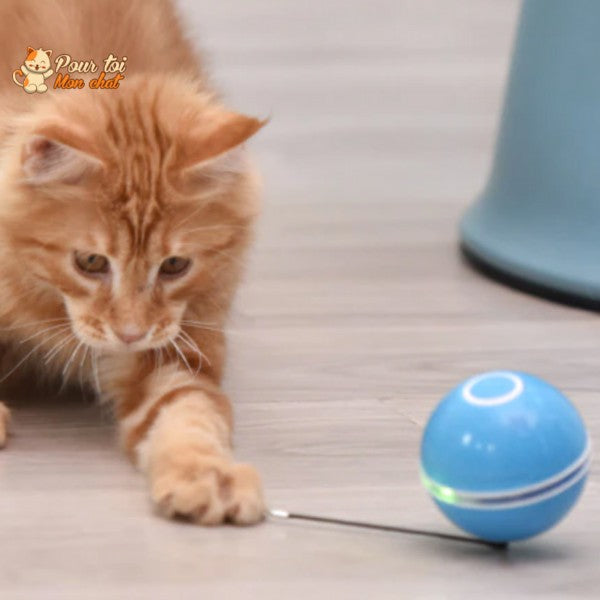 Balle Interactive pour Chat - RollChat™