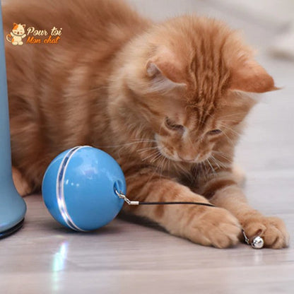 Balle Interactive pour Chat - RollChat™