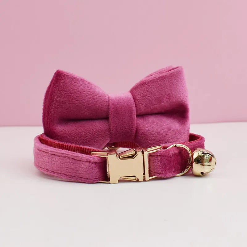 Collier pour chat personnalisable en velours