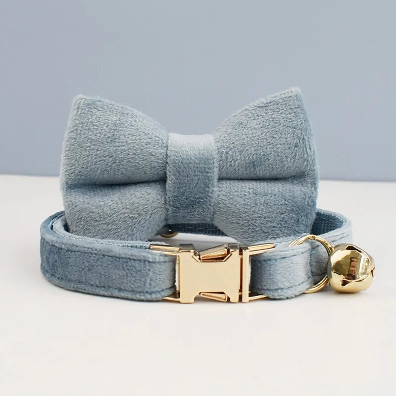 Collier pour chat personnalisé en velours