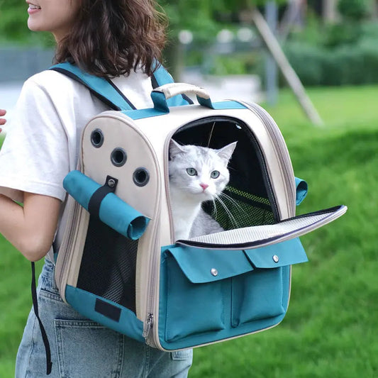 Sac à dos bleu pliable et ventilé pour chat