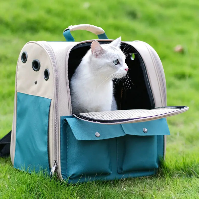 Sac à dos bleu pliable et ventilé pour chat