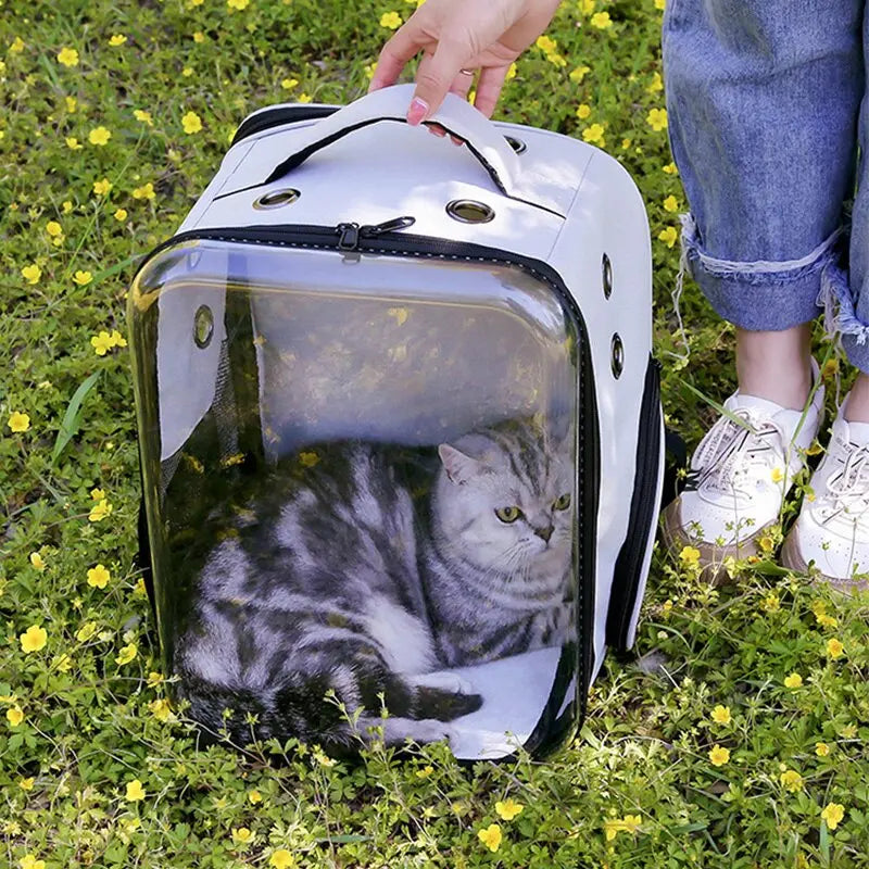 Sac à dos de transport carré pour chat