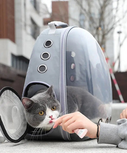 Sac à dos de transport pour chat avec hublot transparent