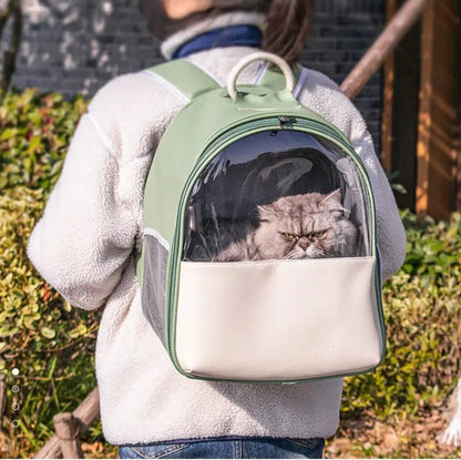 Sac à dos de voyage transparent vert pour chat