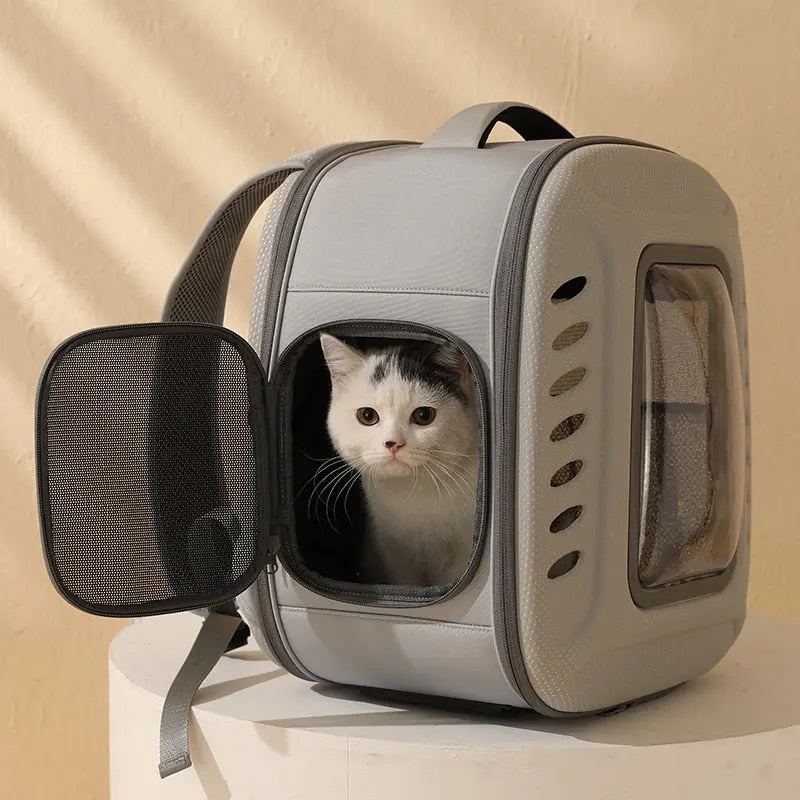 Sac à dos respirant et pliable pour chat