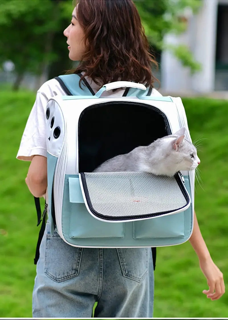 Sac à dos vert pliable et ventilé pour chat