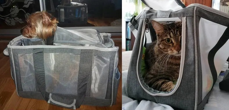 Sac à main de transport respirant pour chat