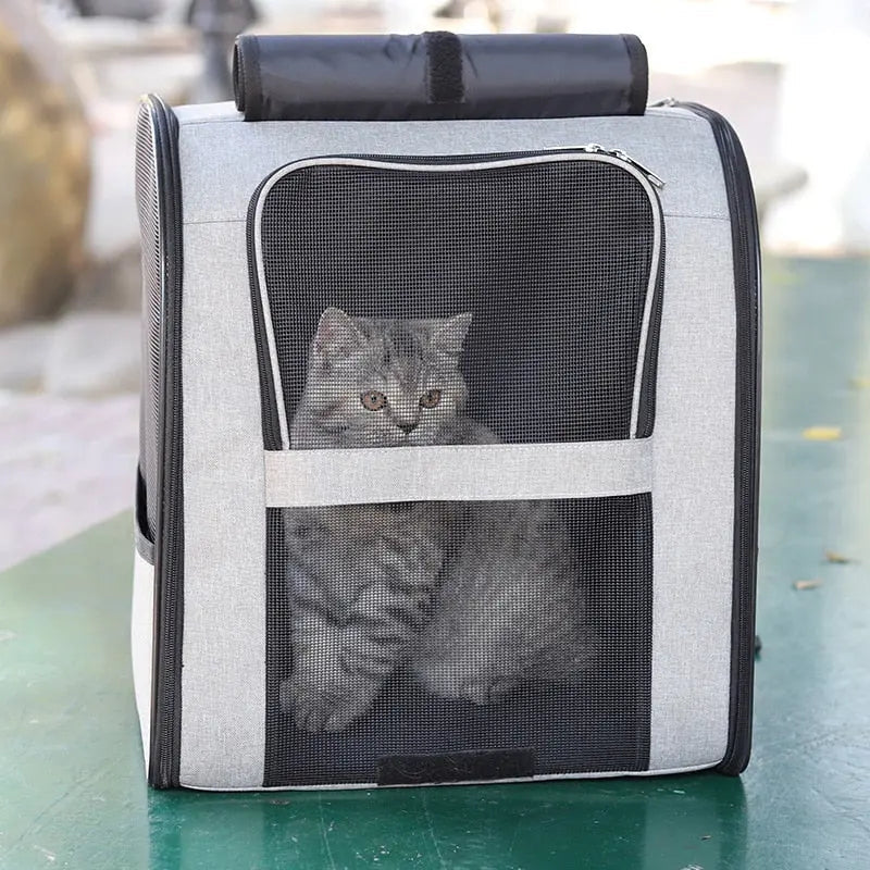 Sac de transport à bandoulière pour chat