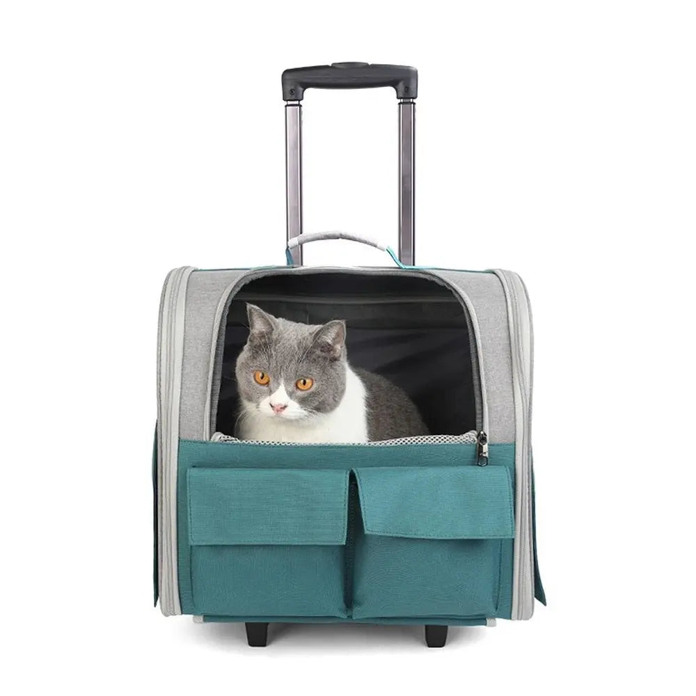 Sac de transport pliable pour chat