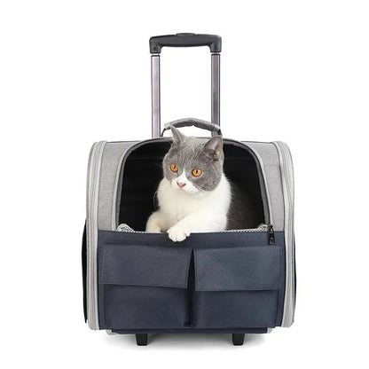 Sac de transport pliable pour chat